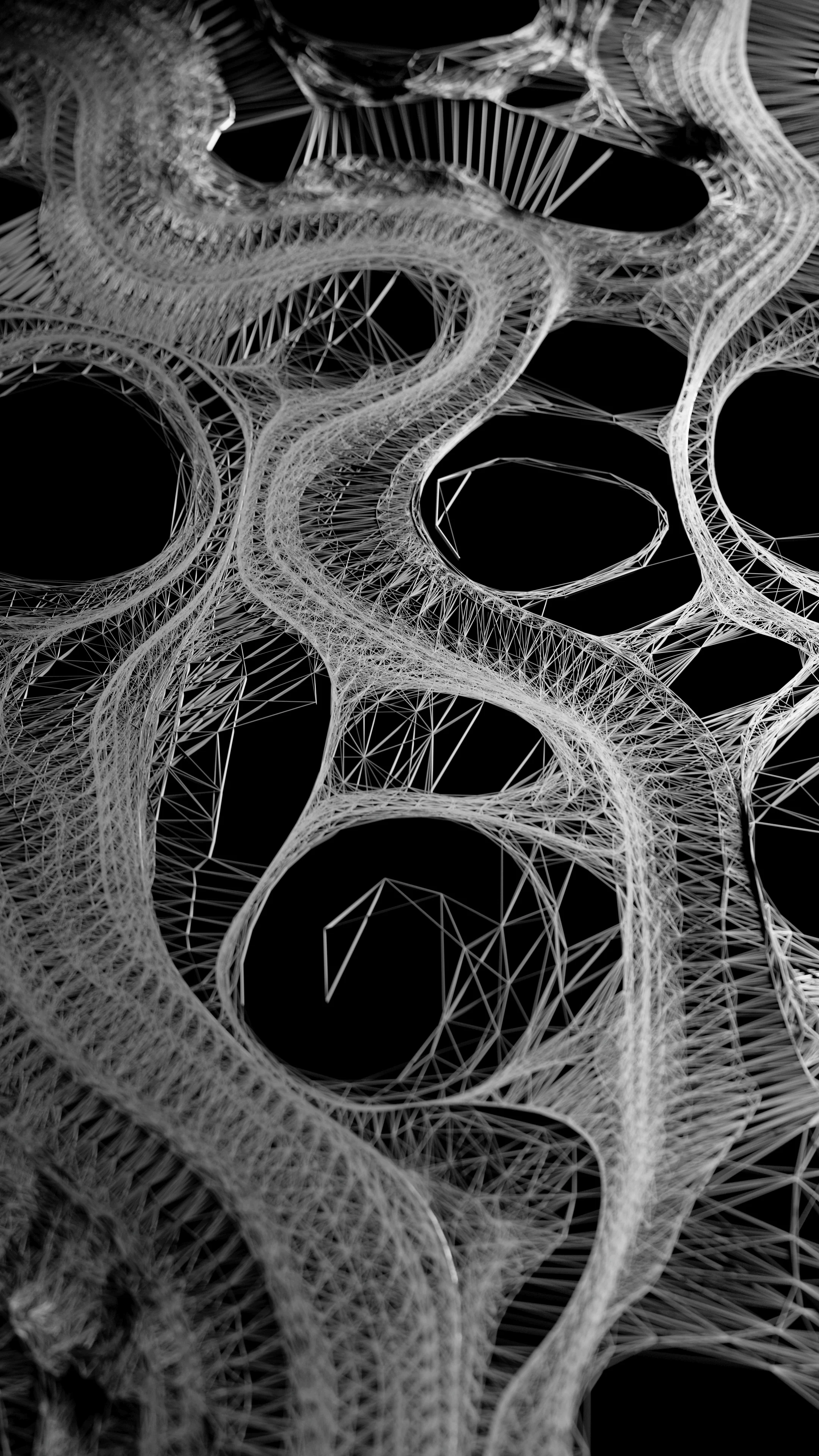 ENTANGLED — 6