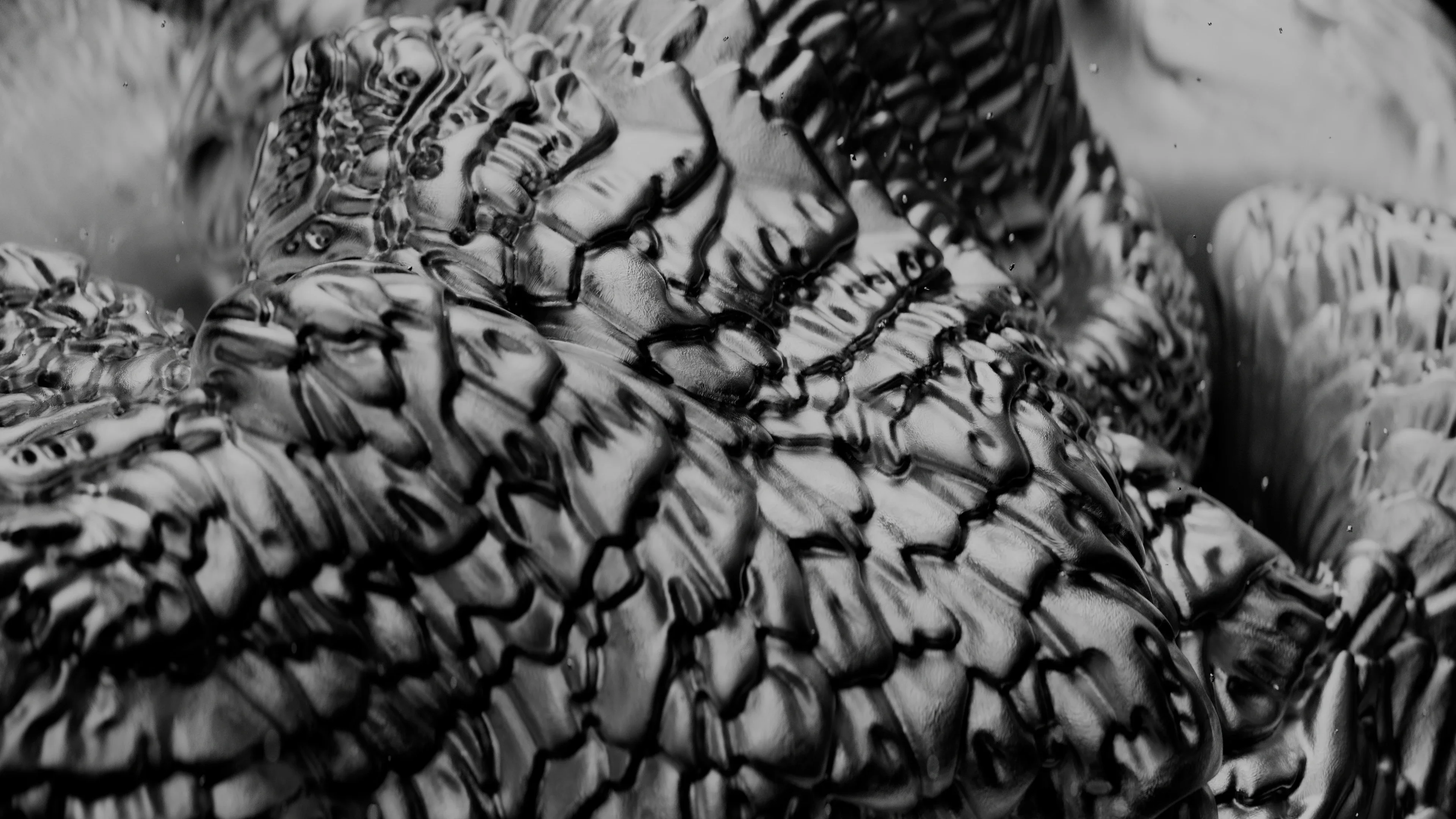 THE SIMULATION OF GROWTH — 4