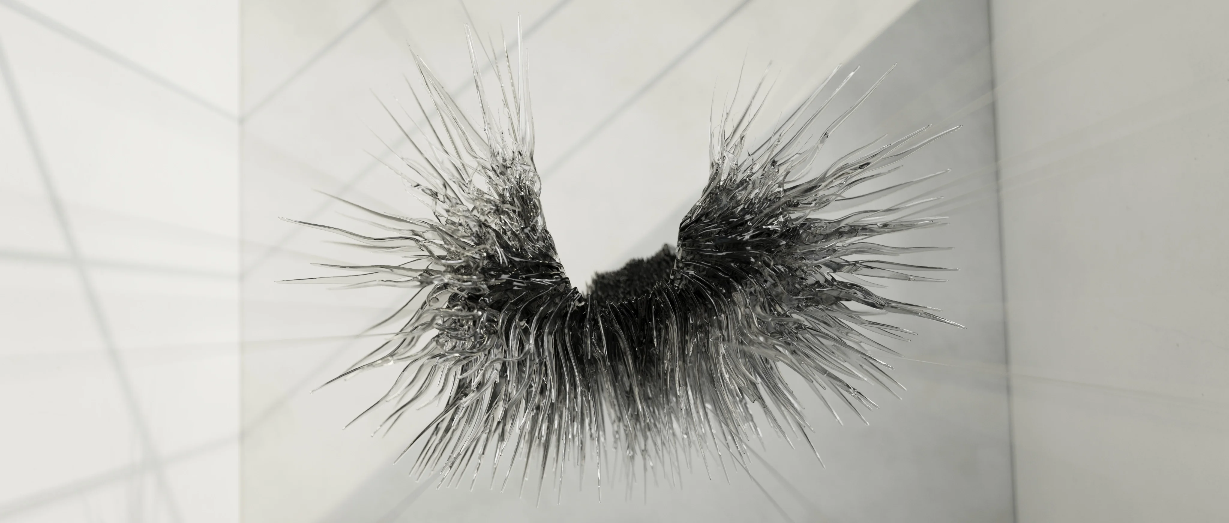 INPUT TO FORM — 5