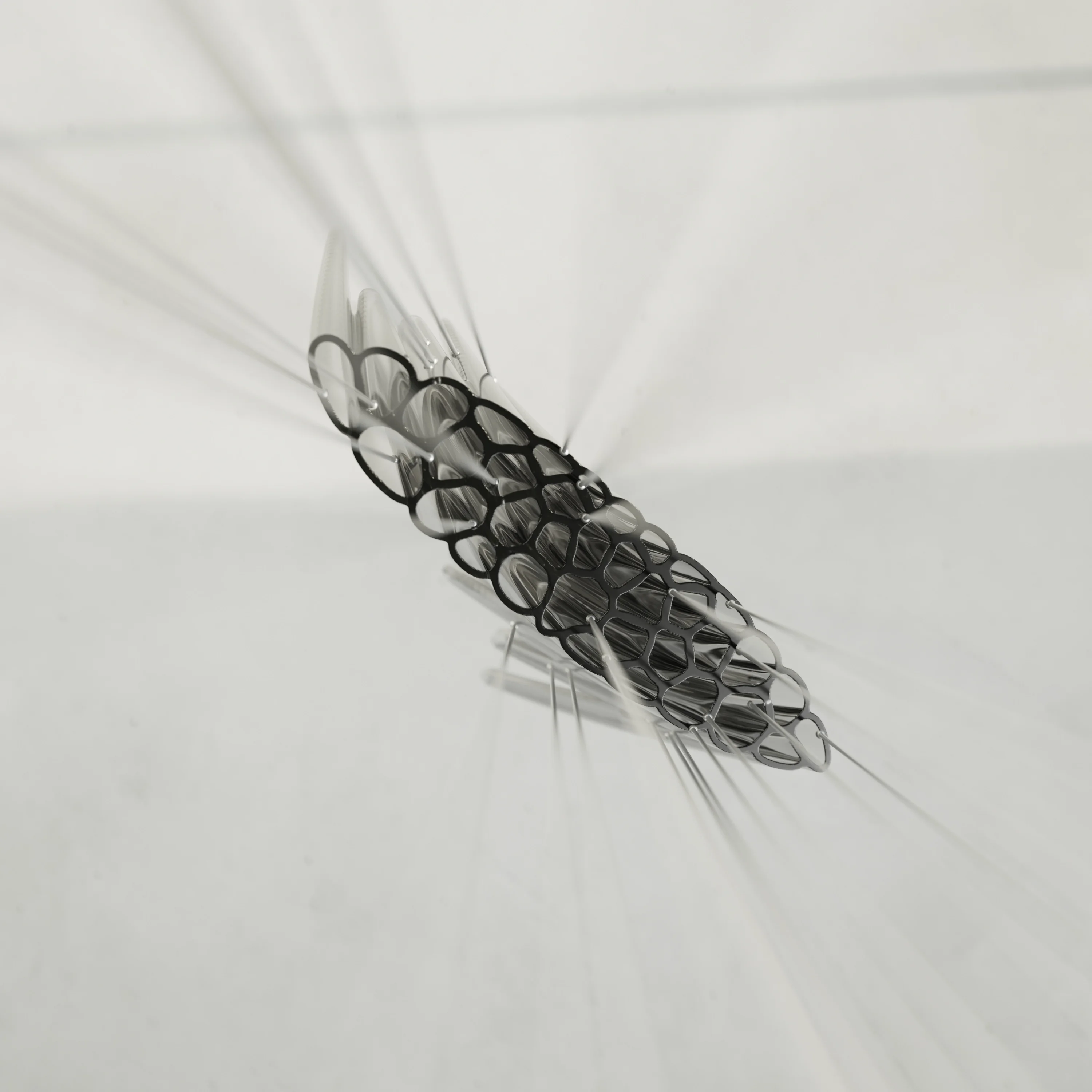 INPUT TO FORM — 19
