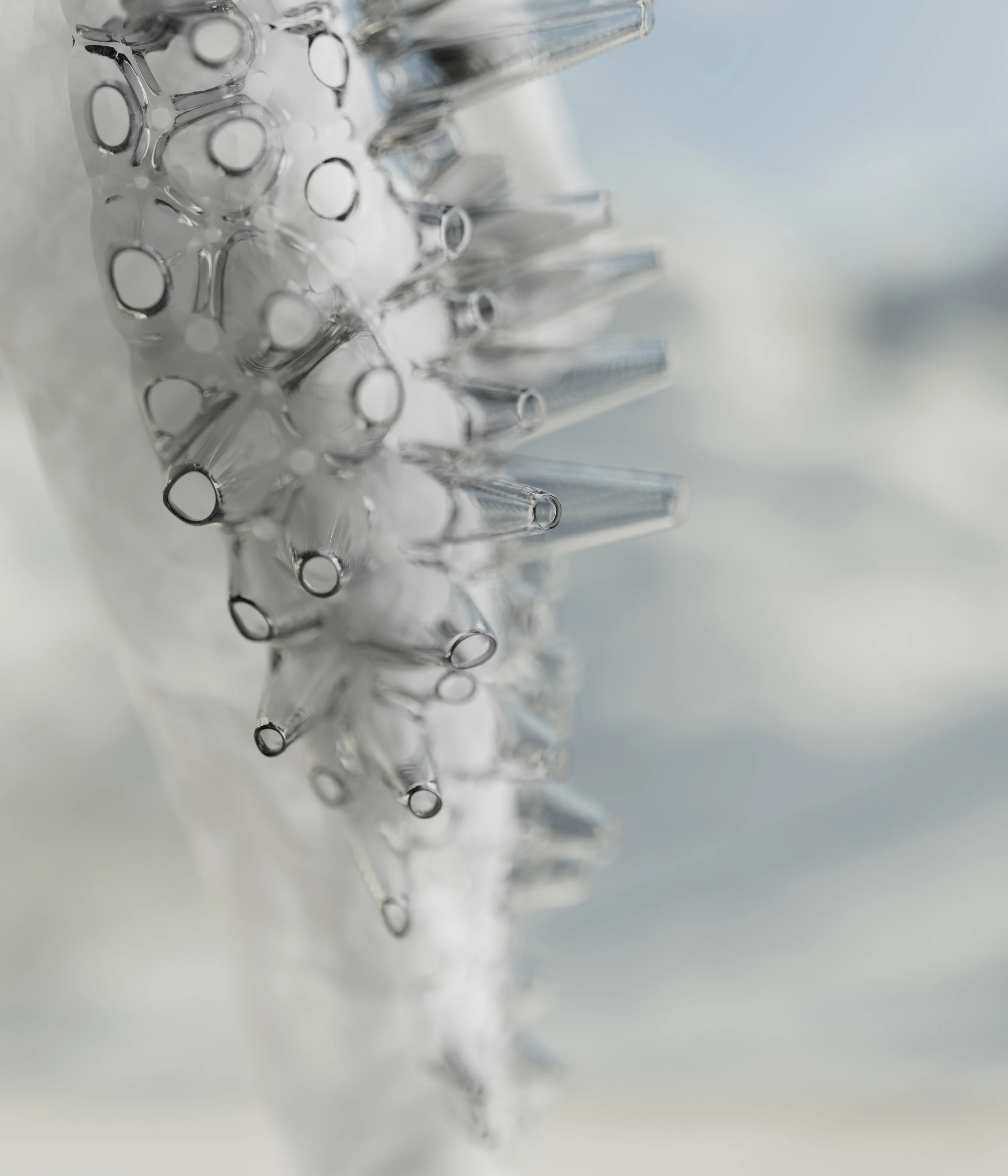 INPUT TO FORM — 26